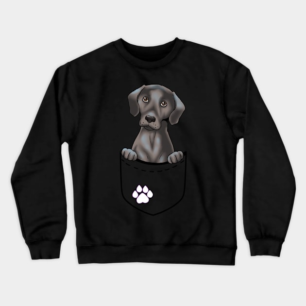 Black Labrador In Pocket Print Puppy Lovers Print Kids Lab Crewneck Sweatshirt by Linco